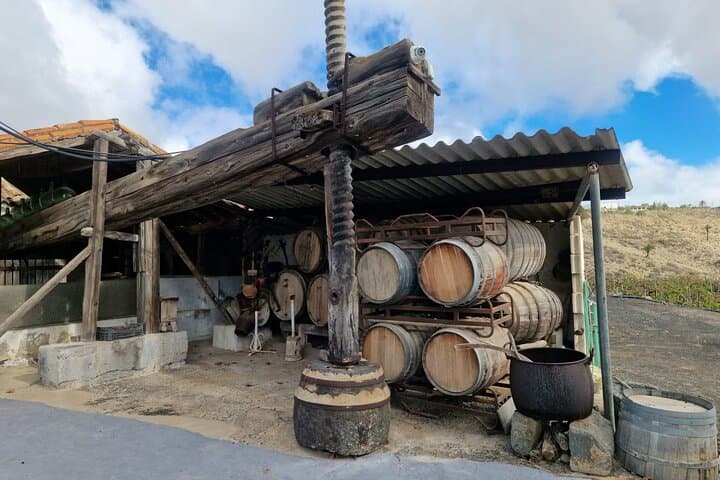 Vineyards