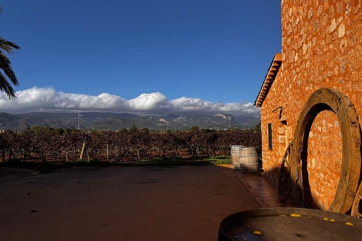 Discover the varieties of Mallorca wine,experience the real taste