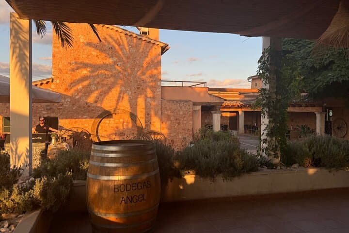 Discover the varieties of Mallorca wine,experience the real taste