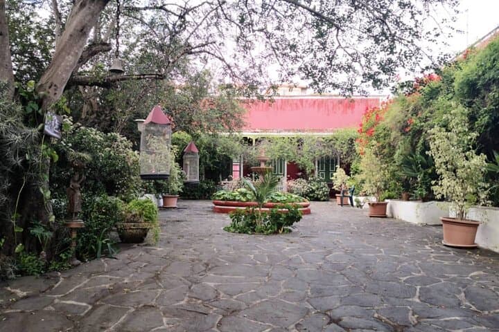 Winery Tour, Wine Museum, and Tasting in Gran Canaria