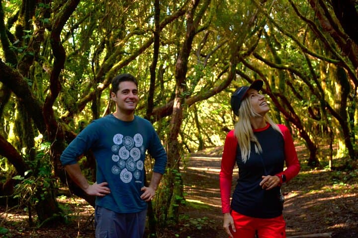 Guided hike in the magical Enchanted Forest of Anaga, Tenerife.