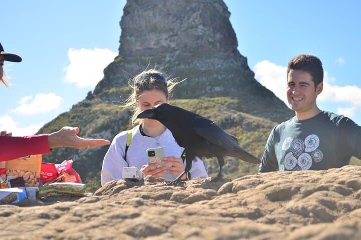 Break point with views over the ocean cliffs below Taborno together with our friendly companion, the raven.