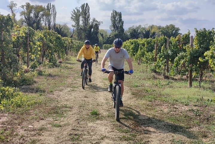 Valencian Tuscany by Bike Guided Tour and Wine Tasting