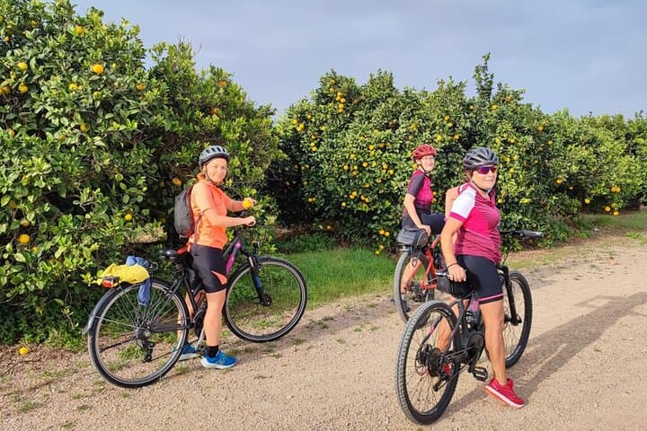 Valencian Tuscany by Bike Guided Tour and Wine Tasting