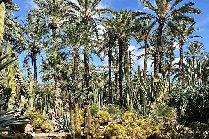 El Palmeral