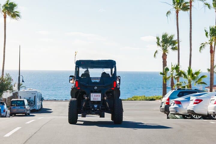 Aventura en Buggy por Tenerife: Costa Sur y Finca de Plátanos