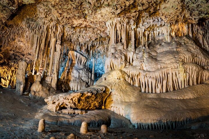 Drach Caves and Porto Cristo Full Day Tour