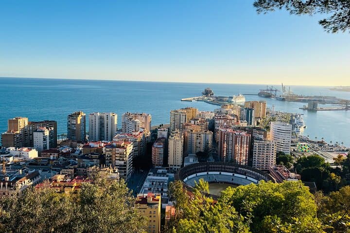 Tuk Tuk Adventure through Málaga with Spanish Crash Course