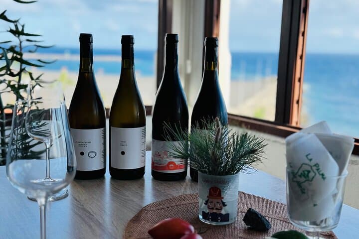 Panoramic view of the ocean from our tasting room