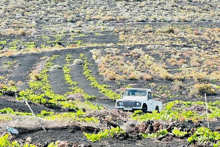 Fuencaliante is Southern tip of La Palma where Vicky Torres cellar is located and family vineyards in Las Machuqueras is where some of her most desirable wines are coming from