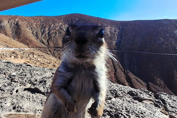 Fuerteventura Private Culture Tour Experience