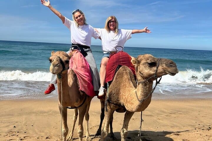 Tangier Luxury Private Day Trip From Estepona All Inclusive