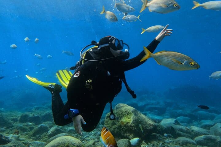 Beginner's Dive at a Spot with Turtle Sightings in Tenerife