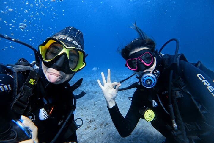 Beginner's Dive at a Spot with Turtle Sightings in Tenerife