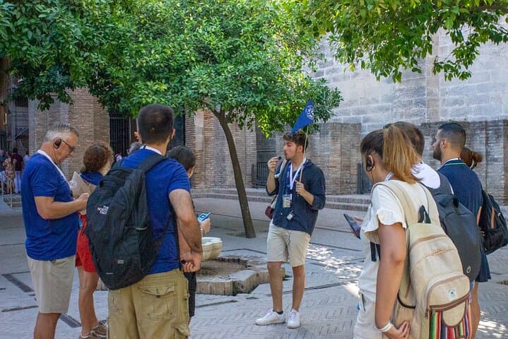 Alcazar & Cathedral of Seville Private Guided Tour
