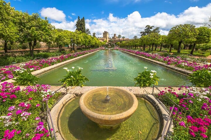 Alcazar & Cathedral of Seville Private Guided Tour