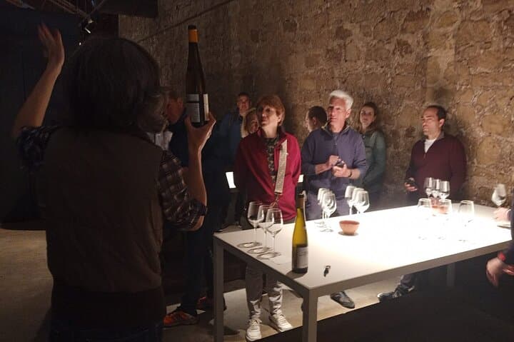 Guided explanation during the wine tasting