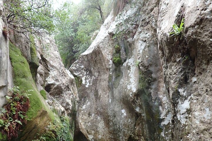 Beginner Canyoning in Mallorca