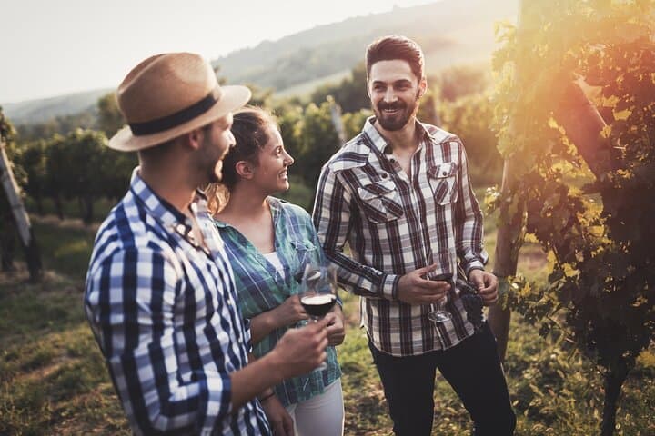 Madrid Wine Tasting Private Tour with Wine Expert