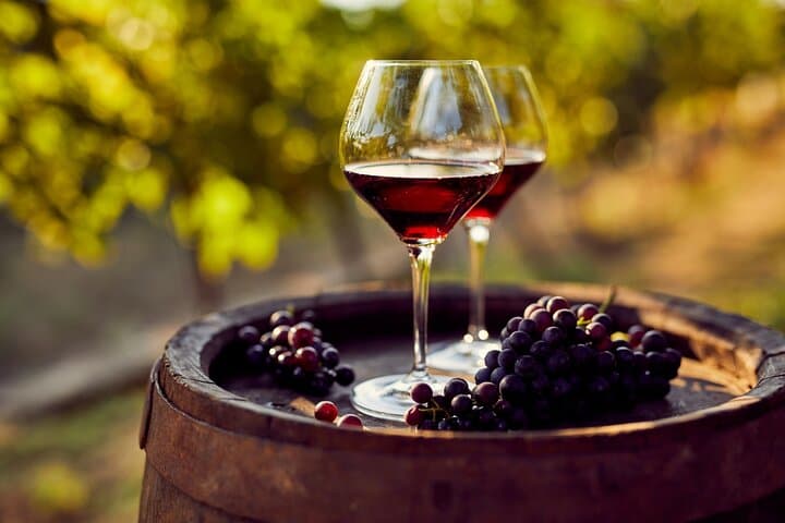 Madrid Wine Tasting Private Tour with Wine Expert