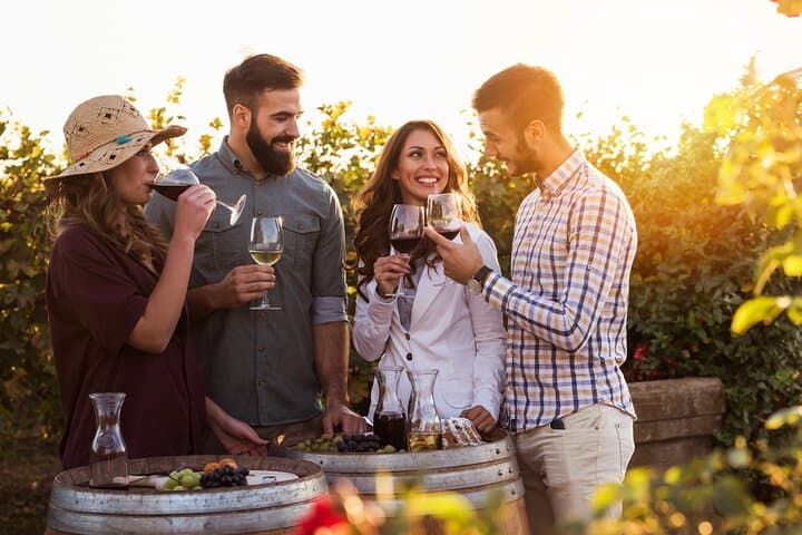Madrid Wine Tasting Private Tour with Wine Expert