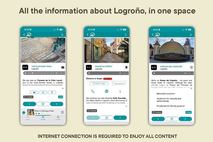 TOP Logroño : Private guided tour with your mobile