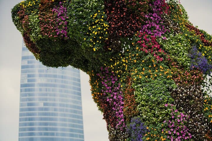 Private Guggenheim Bilbao & Basque Coast Tour from San Sebastian