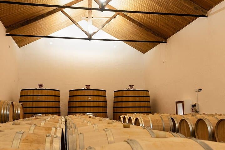 Valencia Vineyard Tour: Rustic Grilled Brunch & Wine Tasting