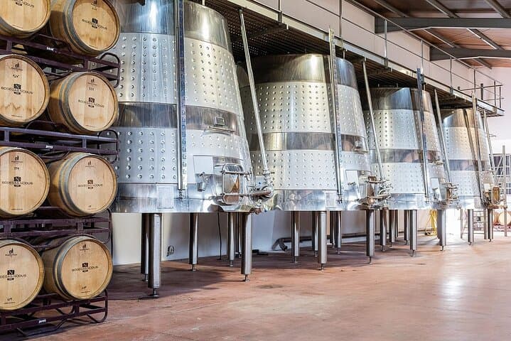 Valencia Vineyard Tour: Rustic Grilled Brunch & Wine Tasting