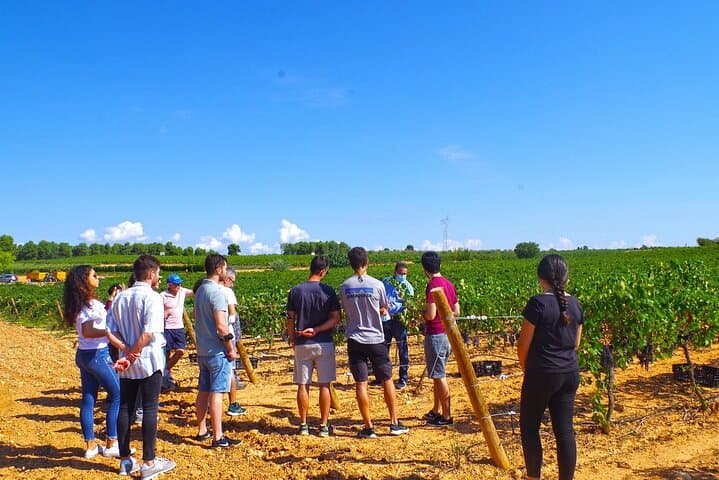 Valencia Vineyard Tour: Rustic Grilled Brunch & Wine Tasting