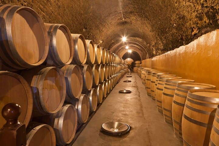 Madrid Wine Tasting Private Tour with Wine Expert