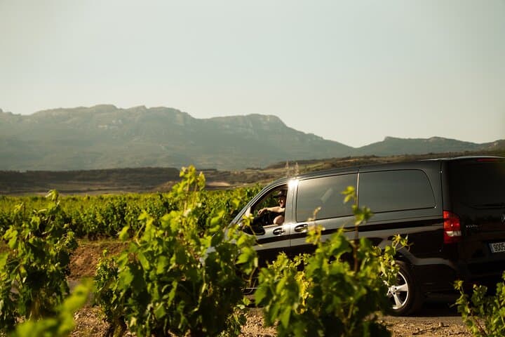Rioja Uncorked: Private Wine Experience from San Sebastián