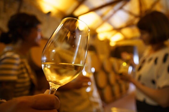 Rioja Uncorked: Private Wine Experience from San Sebastián
