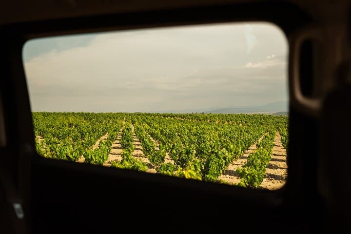 Private Day in Rioja from San Sebastian
