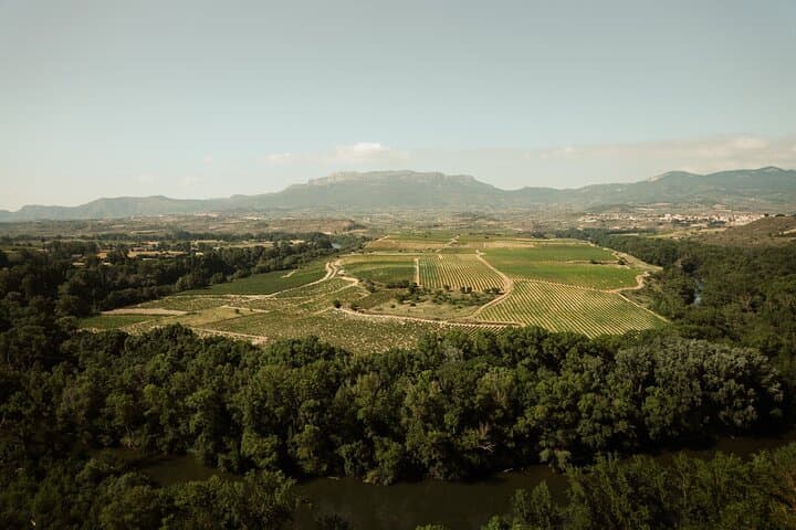 Private Day in Rioja from San Sebastian