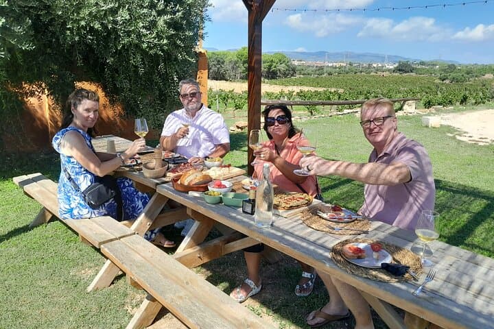 Tarragona Private Escape: Ancient Ruins, Olive Oil & Wine Tasting