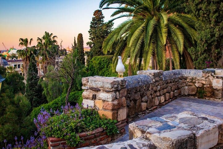 Alcazaba de Malaga: The lush gardens of the Muslim fortress facing the sea.