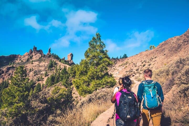 Volcano Road Trip & Roque Nublo Hike – Self-Guided Driving Tour