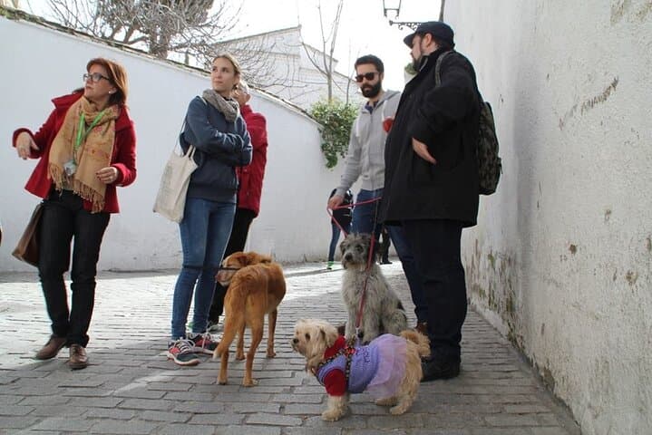 They also like the history of the Albaicín