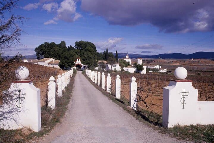 From Valencia Private Requena Town Tour with Wine Cellar Tasting