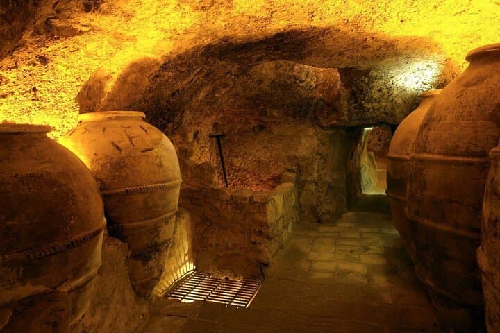 From Valencia Private Requena Town Tour with Wine Cellar Tasting