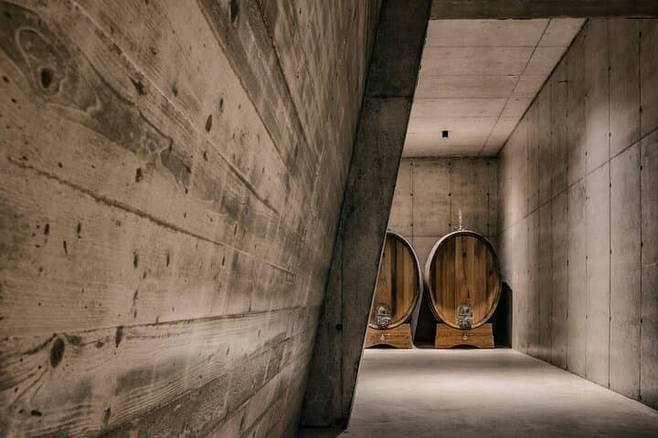 From Valencia Private Requena Town Tour with Wine Cellar Tasting