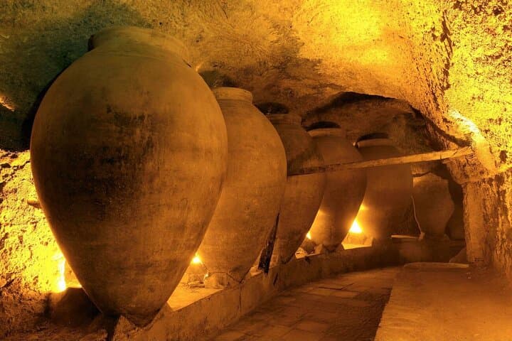 From Valencia Private Requena Town Tour with Wine Cellar Tasting