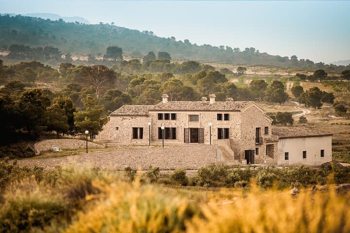 Alicante Full-Day Wine Tour Two Wineries & Tastings