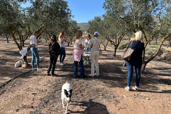Alicante Full-Day Wine Tour Two Wineries & Tastings