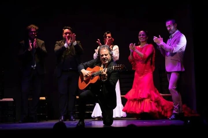 Flamenco Show