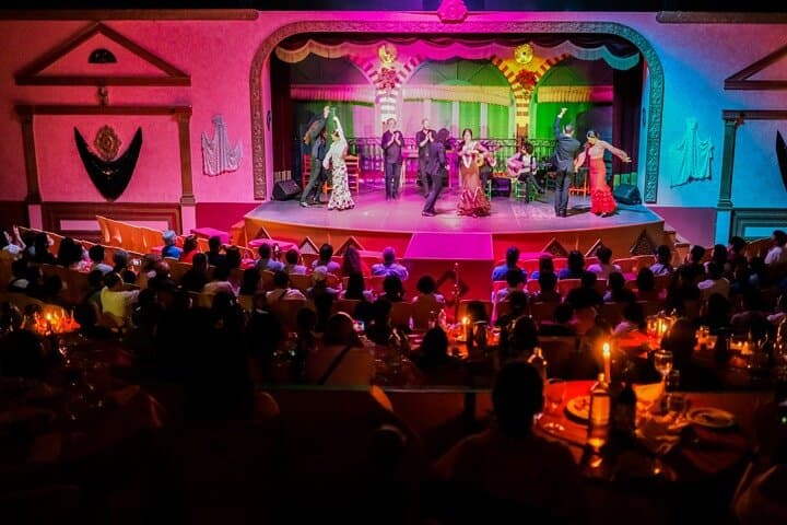 Flamenco Show and Dinner in Seville
