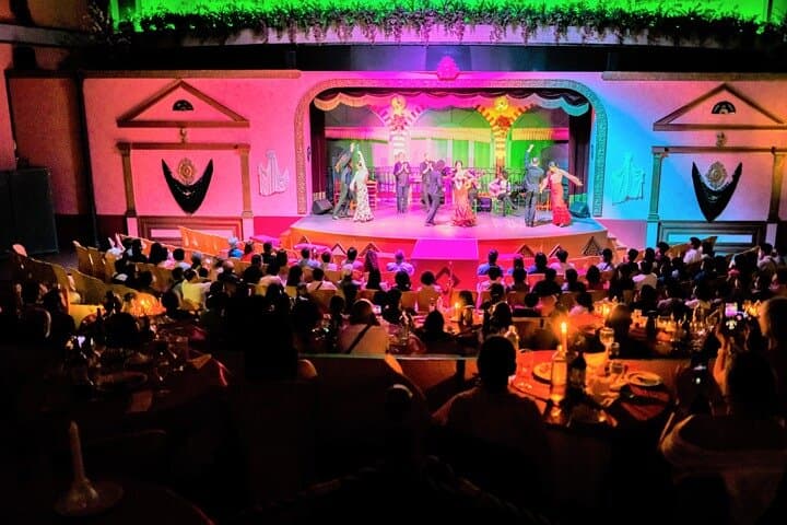 Flamenco Show and Dinner in Seville