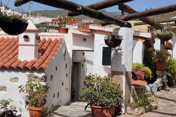 Tenerife: Paella Cooking Class in Traditional Canarian House