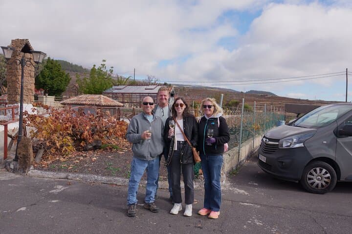 Wine, Canarian Tapas, Culture, VIP Private tour - photos included